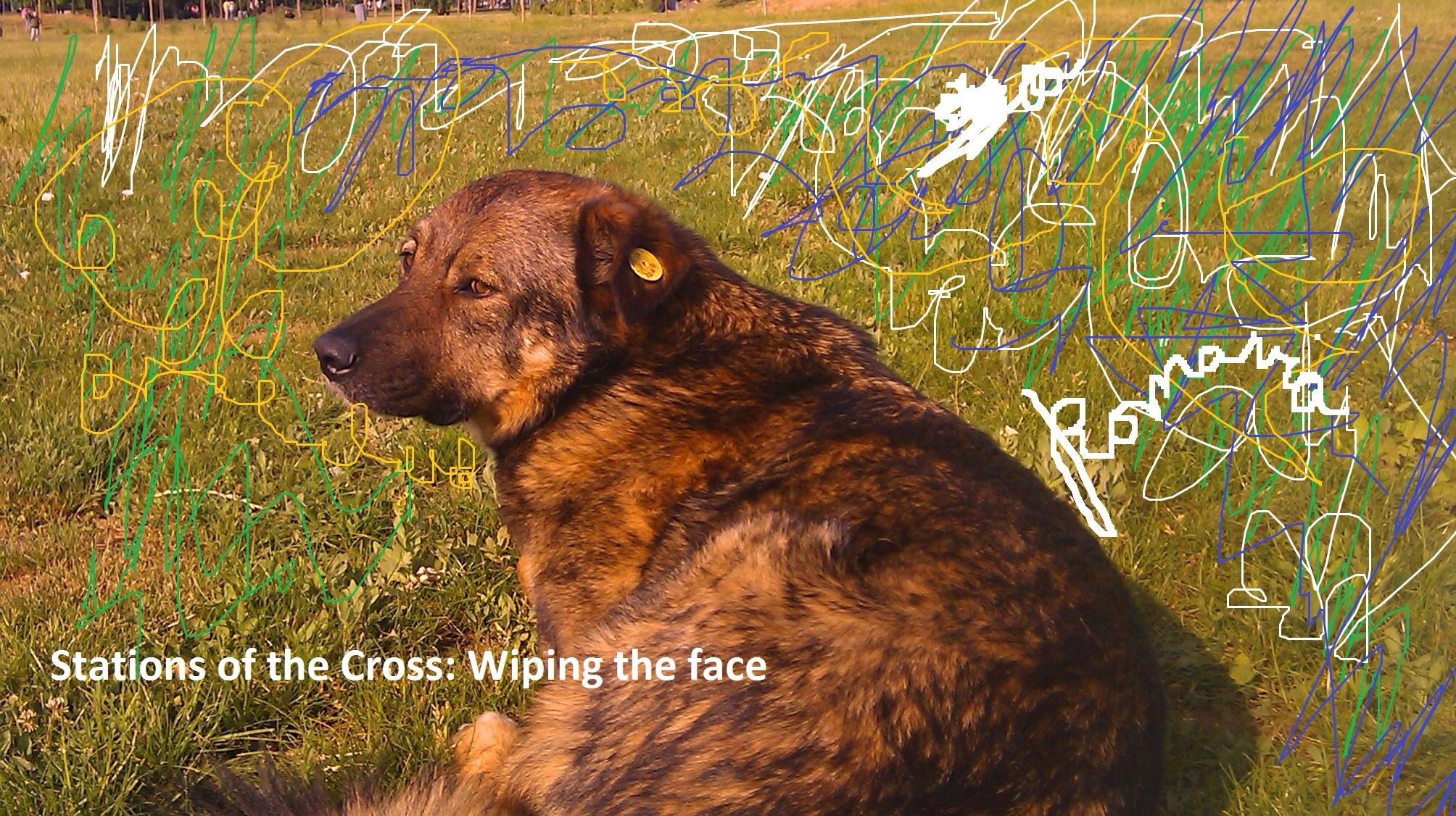 40 dagen duister ( dag 34: wiping the face)