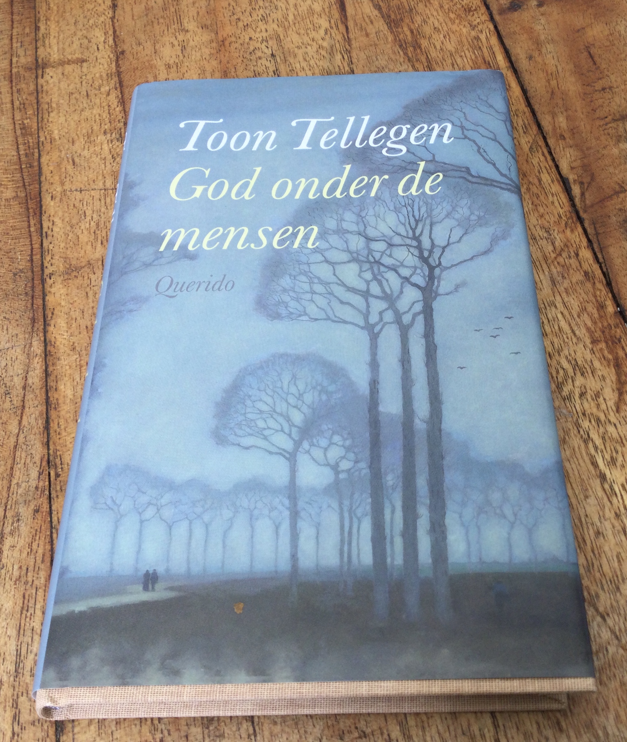 Ontmoetingen met God? (Volgens Toon Tellegen]