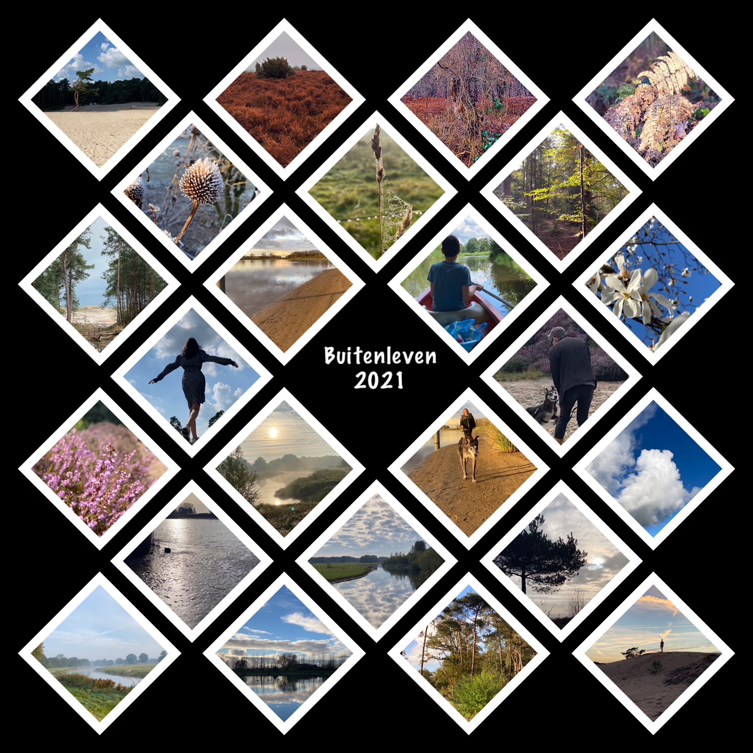 2021 in collages