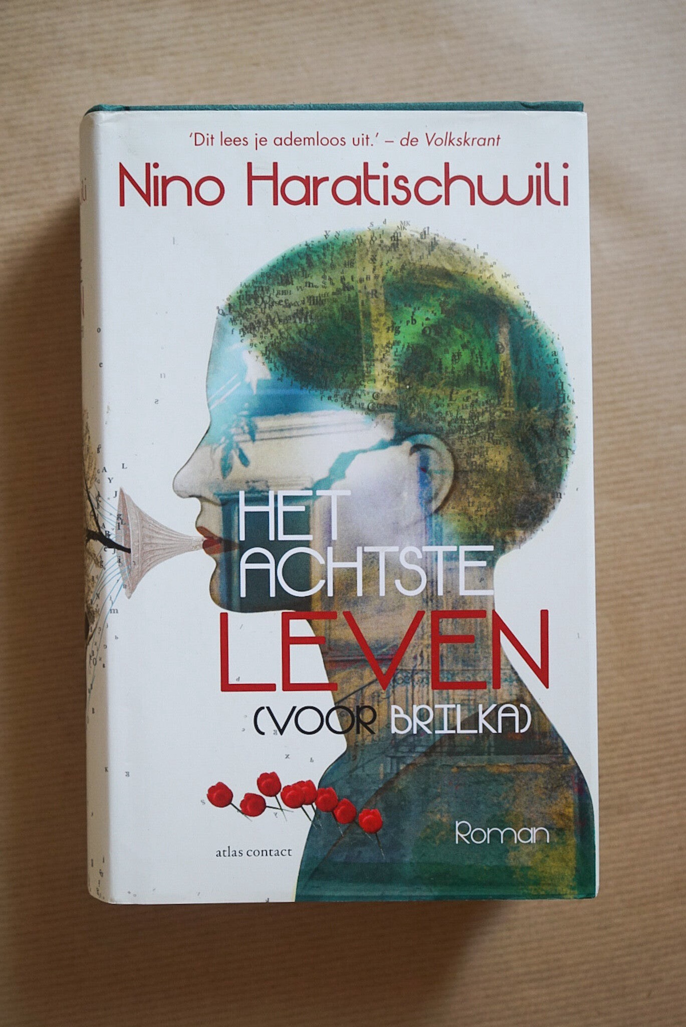 Het achtste leven (voor Brilka)